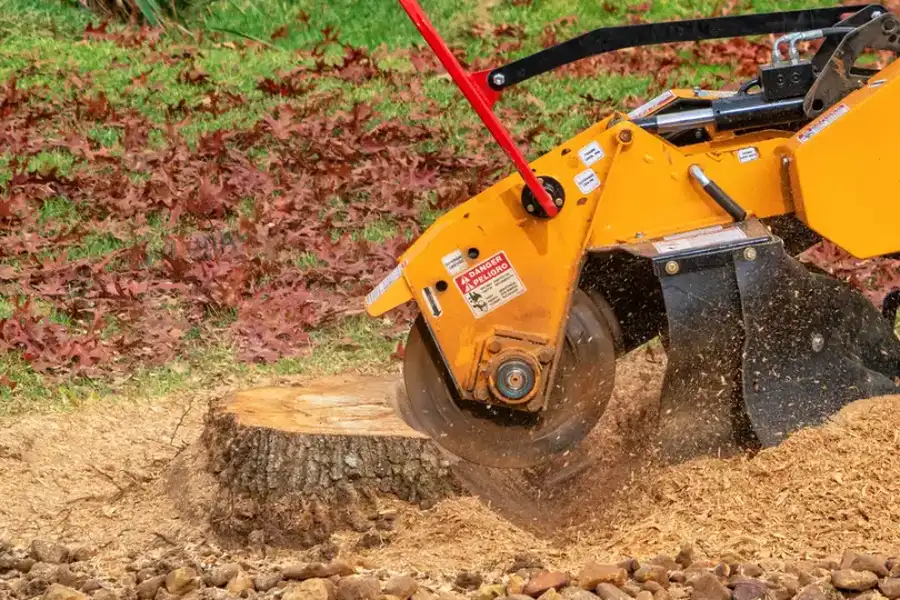 Excellent Stump Grinding Harrisonburg, VA