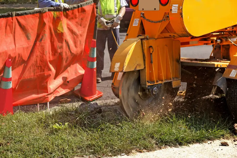 Professional Stump Grinding Harrisonburg, VA