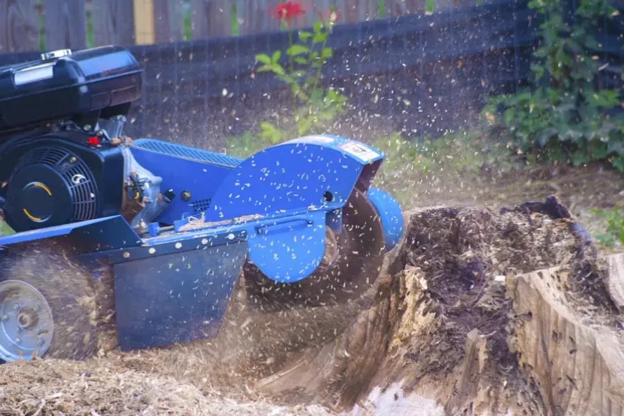 Reputable Stump Grinding Harrisonburg, VA